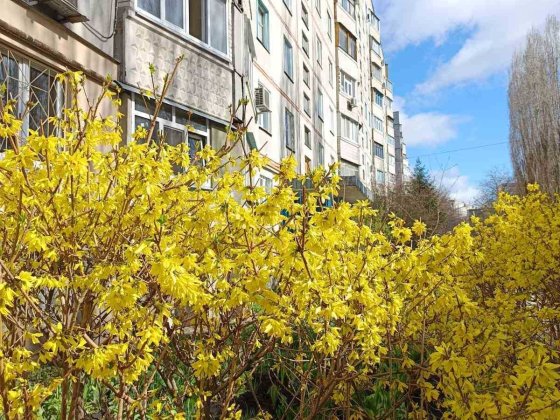 1к.кв. 4/9 , пр.Тракторобудівників (404953)