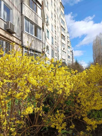 1к.кв. 4/9 , пр.Тракторобудівників (404953) - фото 1