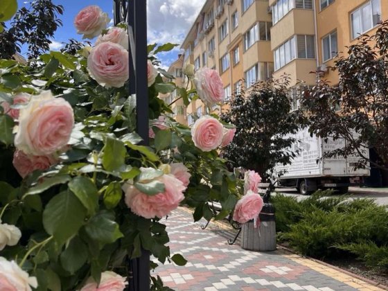 Продається сучасна 1-кк 42 м2 в ЖК «Київський маєток», розтермінування 2 роки Софиевская Борщаговка