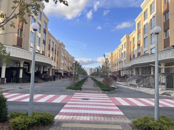 Львівський затишок, 1к з ремонтом і меблями. Мінімальне оформлення Софиевская Борщаговка