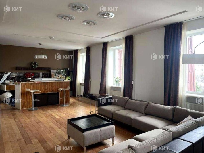 3к.214м2 Центр, Професора Атамановського (Научная, Коломенская) 132921 - фото 1