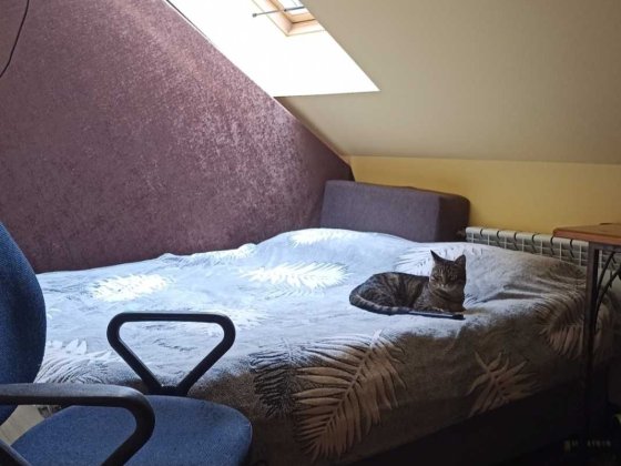 Підселення 1 хлопця в кімнату до студента,кв.в рай.вул.Княгині Ольги. Львов