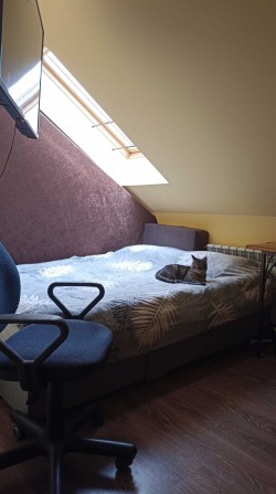 Підселення 1 хлопця в кімнату до студента,кв.в рай.вул.Княгині Ольги. - фото 1