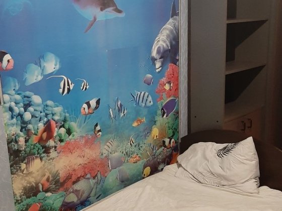 Здам кімнату в приватному будинку на оболоні опалення цілодобово.Тепло