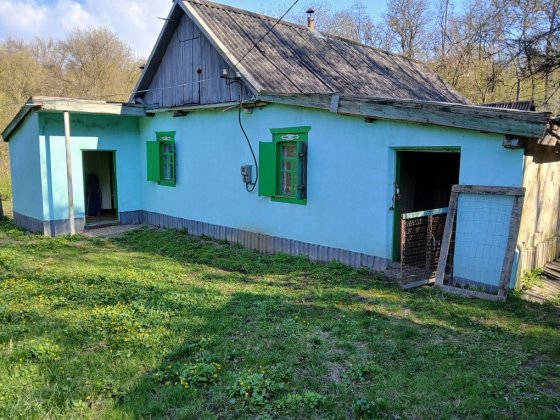 Дача (дом) по ул. Циолковского, 221. Каменское