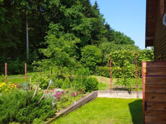 Оренда будинку в Карпатах на тривалий термін Коломыя