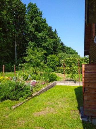 Оренда будинку в Карпатах на тривалий термін - фото 1