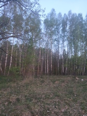 Будиночок в тихому затишному місці - фото 1