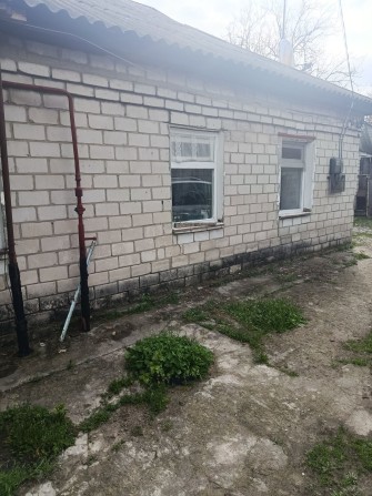 Здам  або продам будинок  Садки, Раковка - фото 1