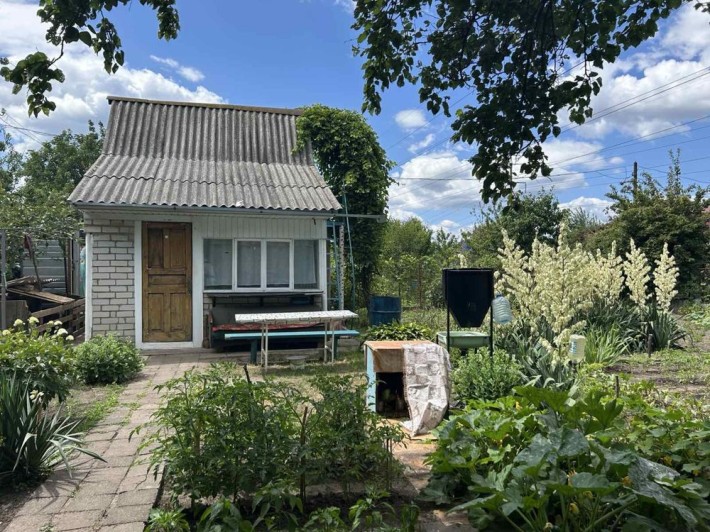 Здам дачу в Черкасах - фото 1