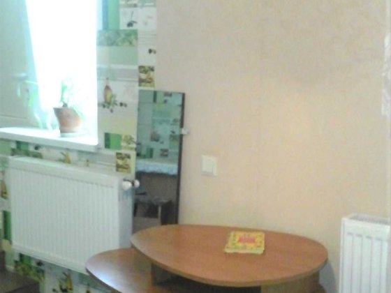 Диевка-2 дом, 2 места под авто, тупик 92-й маршрутки, все удобства Днепр