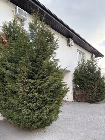 Здам Таунхаус Осокорки - фото 1