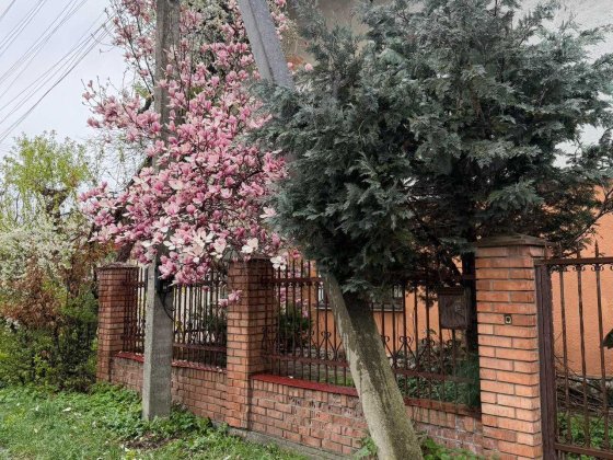 Оренда приватного Будинку  З чудовим розташуванням у спокійному районі по  Вул.Ботанічна (Левандівка Львов