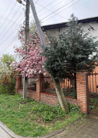 Оренда приватного Будинку  З чудовим розташуванням у спокійному районі по  Вул.Ботанічна (Левандівка - фото 1