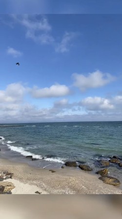 Сдам Дом на Фонтане на длительный срок - фото 1