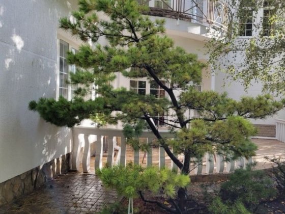 Сдам Дом на 16 ст. Фонтана, Золотой берег Одеса