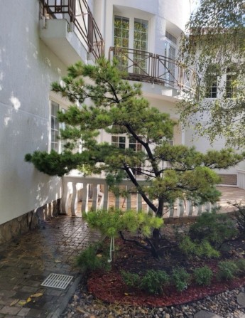 Сдам Дом на 16 ст. Фонтана, Золотой берег - фото 1