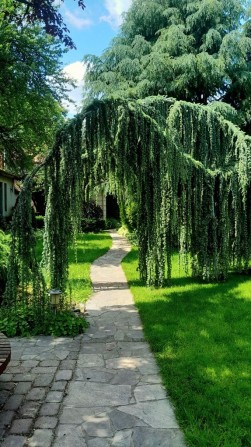 Аренда Дома район 13Фонтана Шикарный двор Сауна Бомбоубежище Море - фото 1