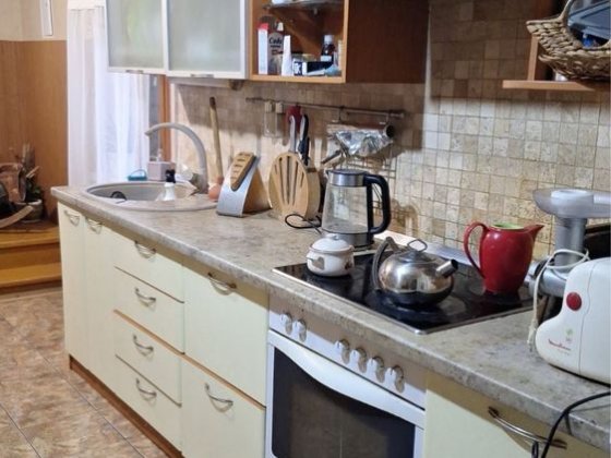 Сдам уютный и просторный дом Sun Ray для семьи Підгородне