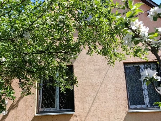 Дача Хотянівка  Десна Хотяновка