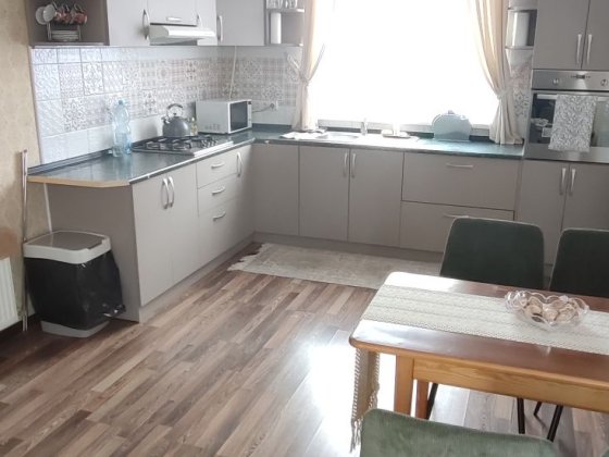 Сдам отдельно стоящий дом Фонтанка, Днепровская, на длительный срок Фонтанка