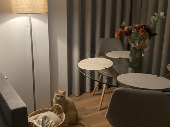 Desna Park Residence оренда квартири 45м2