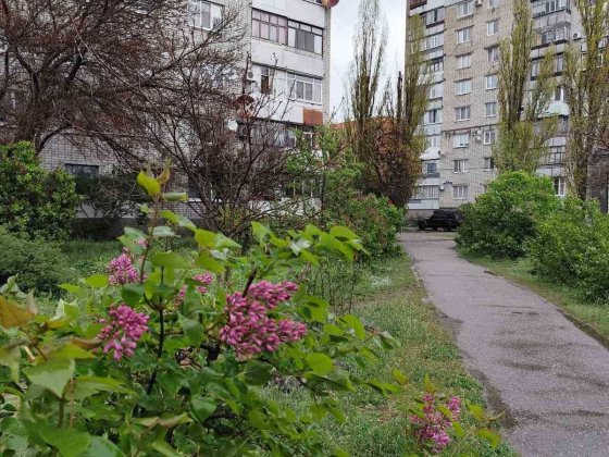 Оренда 1 кімн 1 Занасип 5 хв Центр Кременчук