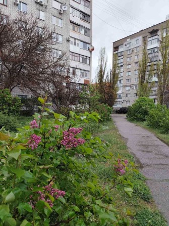 Оренда 1 кімн 1 Занасип 5 хв Центр - фото 1