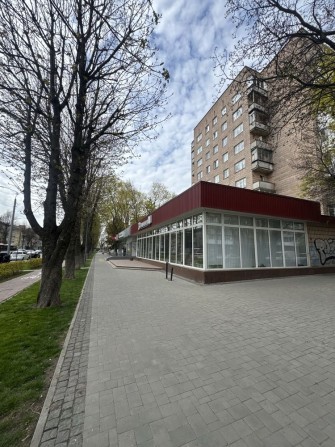 Оренда квартири  у центрі м.Луцьк| пр.Волі ,41 - фото 1