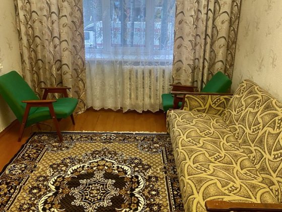 Двокіматна квартира. Центр, Князів Остроських