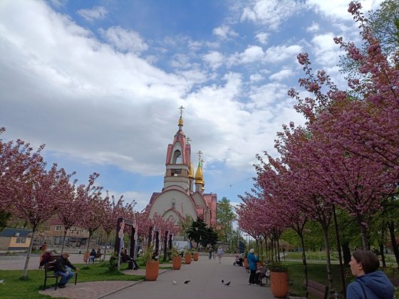 Актуально!Сдам 1к квартиру на Косиора