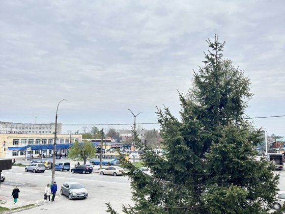 Офіс 19 кв.м автовокзал без комісії Звягель