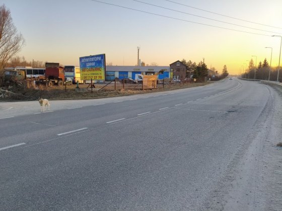Оренда торгової площатки на трасі Київ-Чоп Стрий