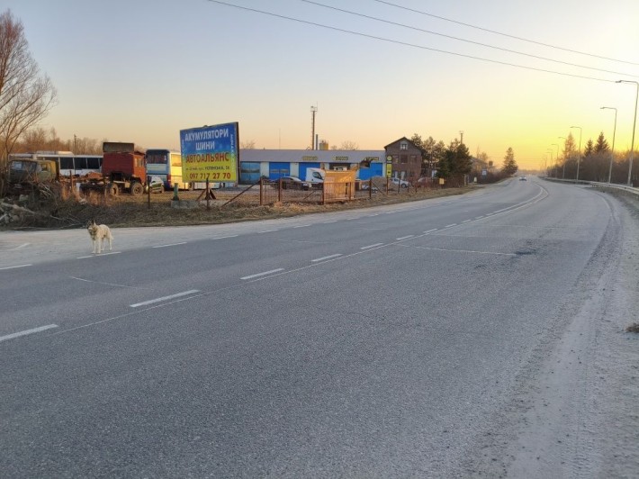 Оренда торгової площатки на трасі Київ-Чоп - фото 1