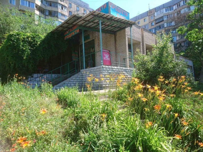 Сдам в аренду магазин/кафе и помещения свободного назначения - фото 1