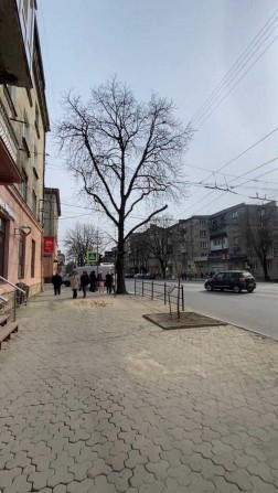 Оренда комерційного приміщення вул. Руська 40500 грн + к.п - фото 1
