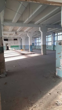Приміщення 2000 м2, Чернівці - фото 1