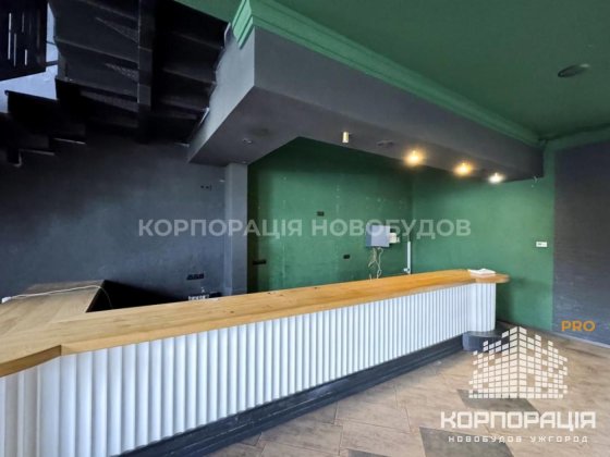 Оренда комерц. приміщення, 200 м2, вул. І.Чендея (Л.Толстого), Центр Ужгород