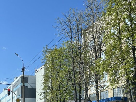 Здам півкабінету бровісту, майстру нарощування вій Черкаси