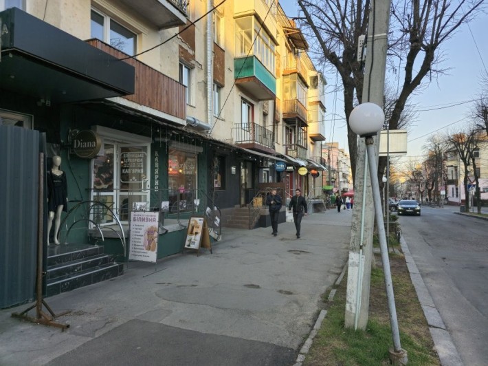 Центр, 44м. Перехрестя Театральна-Грушевського - фото 1