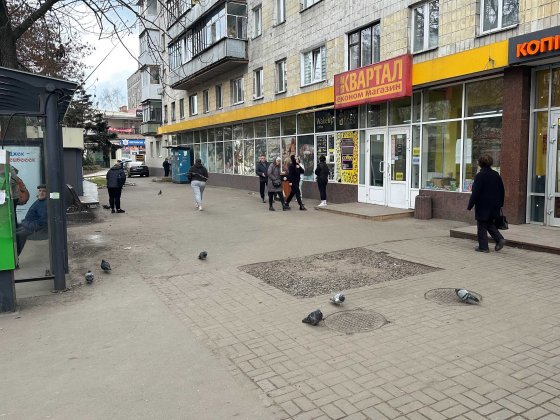Оренда магазину м. Житомир, вул. В. Бердичівська,56 (50 м.кв.) Житомир