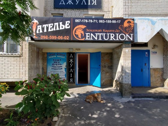 Здається комерційне приміщення на вул. Зодчих 36, площа 47 кв.м