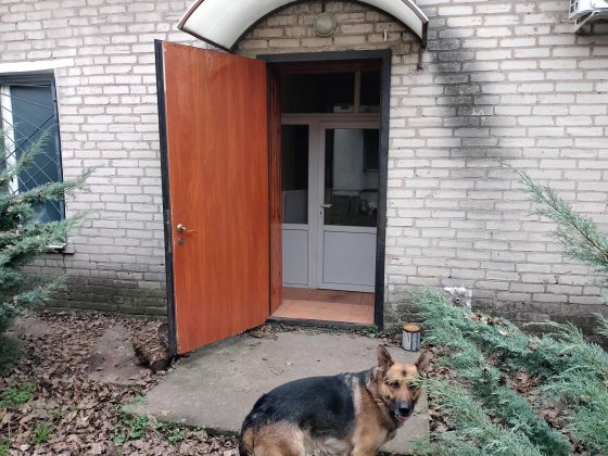 Сдам в аренду помещение под  офис произвоство та інші потреби Запорожье