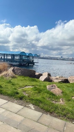 Сдам базу отдыха в на берегу Днепра - фото 1