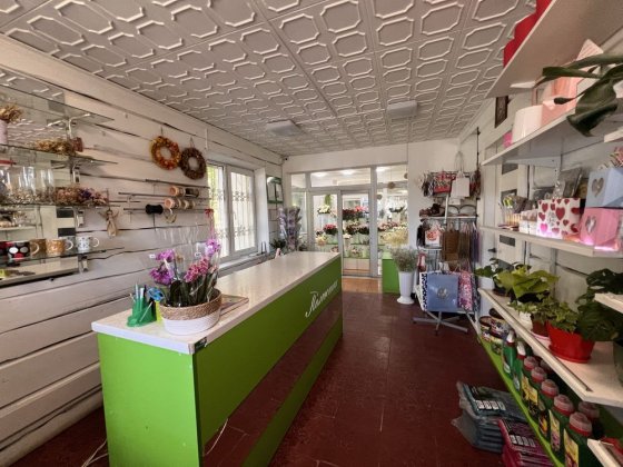 Оренда приміщення 39,5 м.кв вул.Кн.Ольги Львів