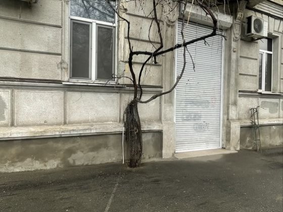 Оренда на Маразлієвській  90м2