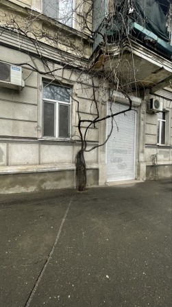 Оренда на Маразлієвській  90м2 - фото 1