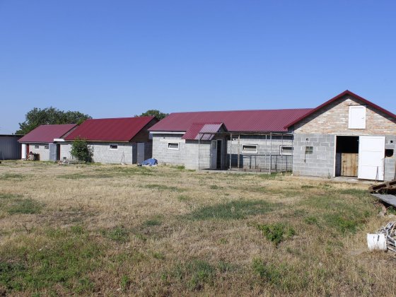 Пропонуємо на оренду господарство для ведення тваринництва Вільне