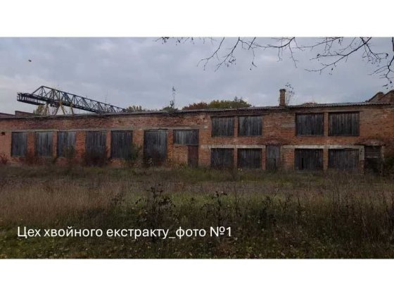 Цехи та майстерня, 1289 кв. м, вул. Сонячна, 1 Владимир