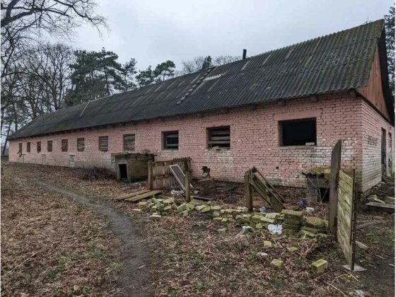Будівлі картоплесховищя та свинарника 527,3 кв. м, вул. Філатова, 7А Киверцы